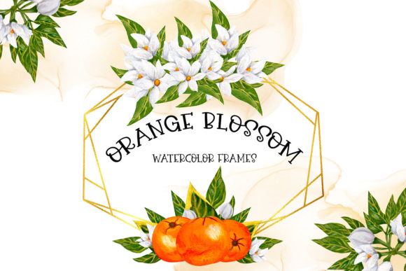 Download Orange Blossom Frames - Orange Collection
