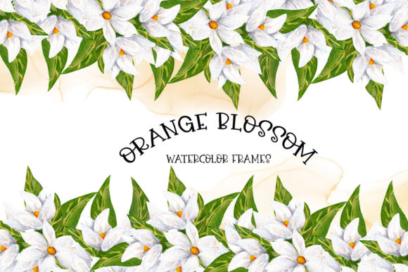 Download Orange Blossom Borders - Orange Collection