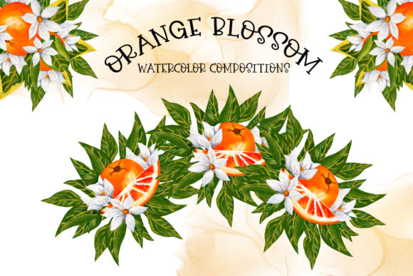 Download Orange Blossom Compositions - Orange Collection