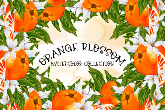 Download Orange Blossom-Watercolor Collection - Orange Collection