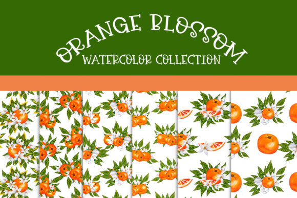 Download Orange Blossom - Seamless Patterns - Orange Collection